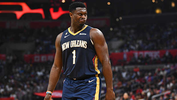 zion pelicans
